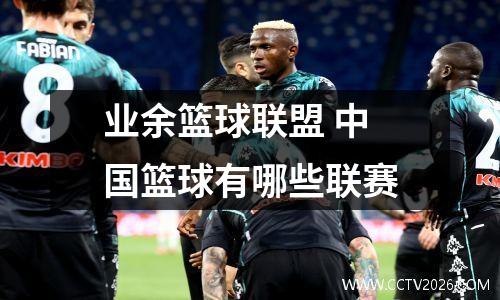 业余篮球联盟 中国篮球有哪些联赛