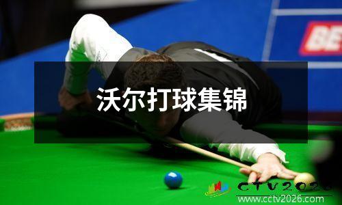 沃尔打球集锦