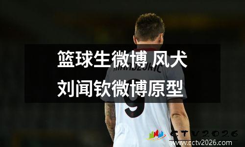 篮球生微博 风犬刘闻钦微博原型