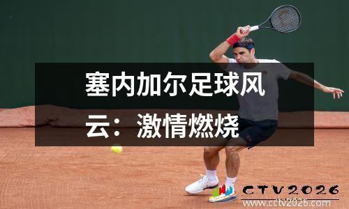 塞内加尔足球风云：激情燃烧