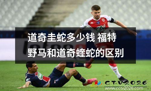 道奇圭蛇多少钱 福特野马和道奇蝰蛇的区别