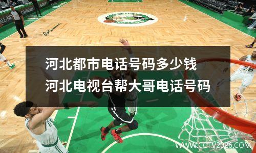 河北都市电话号码多少钱 河北电视台帮大哥电话号码