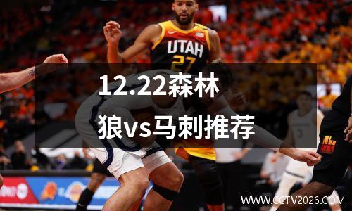 12.22森林狼vs马刺推荐