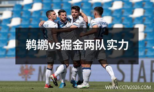 鹈鹕vs掘金两队实力