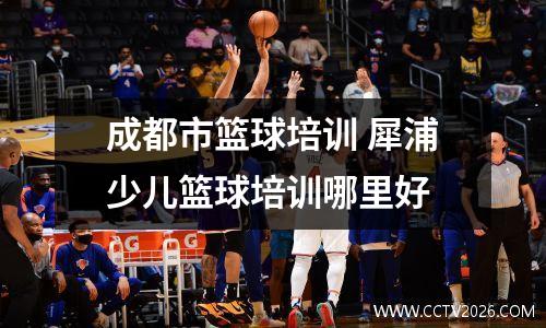 成都市篮球培训 犀浦少儿篮球培训哪里好