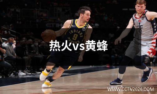 热火vs黄蜂