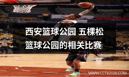 西安篮球公园 五棵松篮球公园的相关比赛