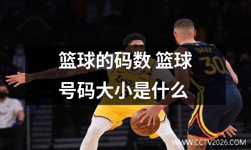 篮球的码数 篮球号码大小是什么
