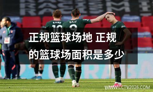 正规篮球场地 正规的篮球场面积是多少