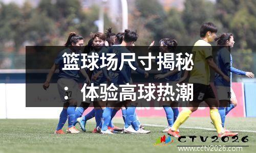 篮球场尺寸揭秘：体验高球热潮