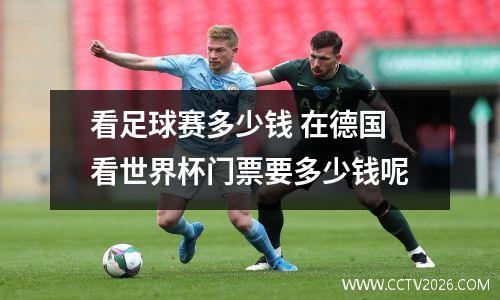 看足球赛多少钱 在德国看世界杯门票要多少钱呢