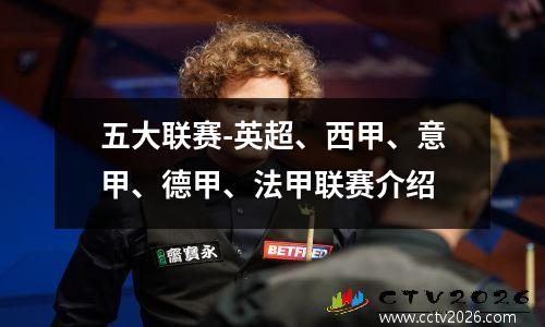 五大联赛-英超、西甲、意甲、德甲、法甲联赛介绍