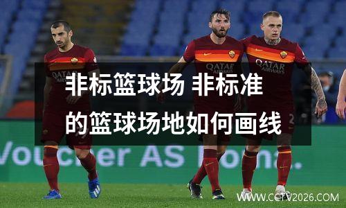 非标篮球场 非标准的篮球场地如何画线