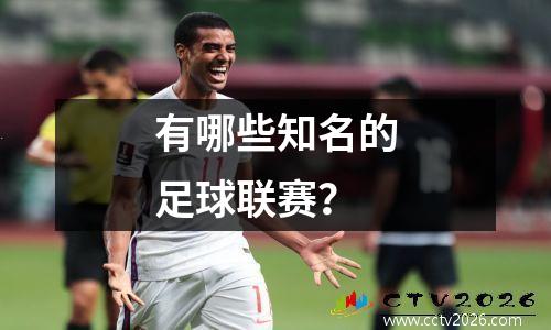 有哪些知名的足球联赛？