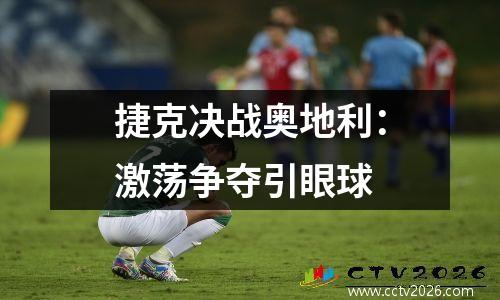 捷克决战奥地利：激荡争夺引眼球