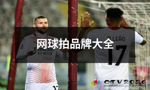 网球拍品牌大全