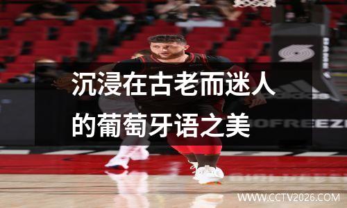 沉浸在古老而迷人的葡萄牙语之美
