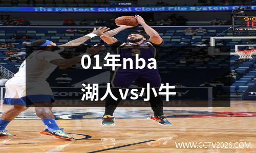 01年nba湖人vs小牛