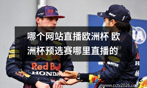哪个网站直播欧洲杯 欧洲杯预选赛哪里直播的