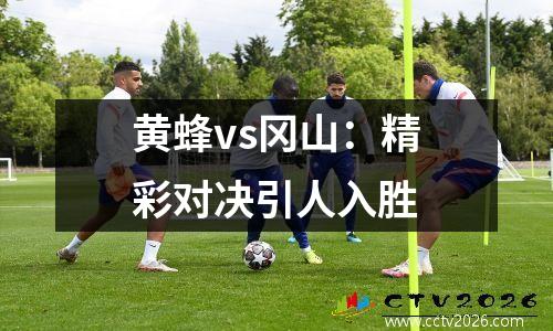 黄蜂vs冈山：精彩对决引人入胜
