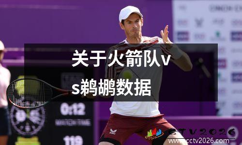 关于火箭队vs鹈鹕数据