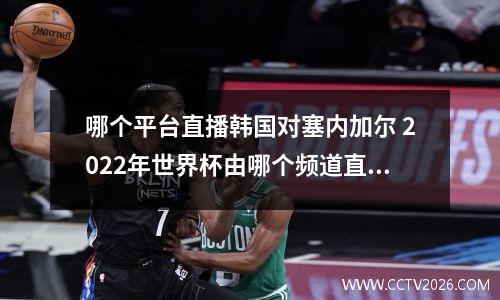 哪个平台直播韩国对塞内加尔 2022年世界杯由哪个频道直播