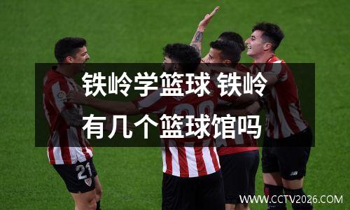 铁岭学篮球 铁岭有几个篮球馆吗