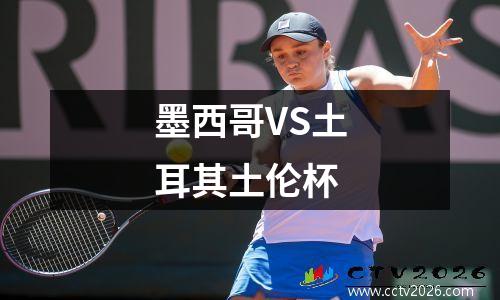 墨西哥VS土耳其土伦杯