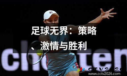 足球无界：策略、激情与胜利