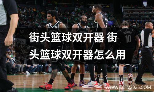 街头篮球双开器 街头篮球双开器怎么用