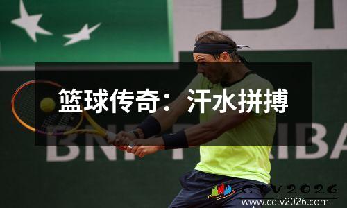 篮球传奇：汗水拼搏