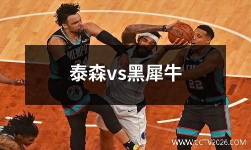 泰森vs黑犀牛