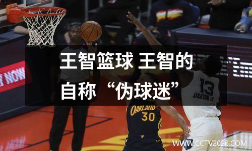 王智篮球 王智的自称“伪球迷”
