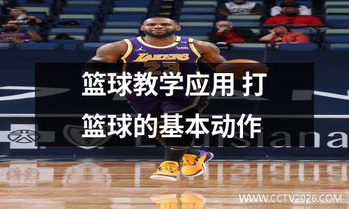 篮球教学应用 打篮球的基本动作