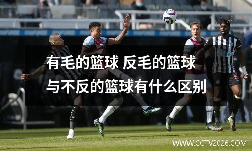 有毛的篮球 反毛的篮球与不反的篮球有什么区别