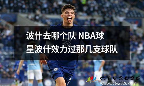 波什去哪个队 NBA球星波什效力过那几支球队