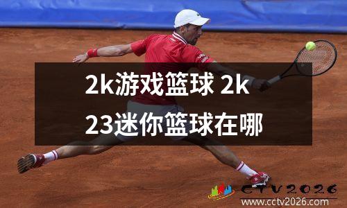 2k游戏篮球 2k23迷你篮球在哪