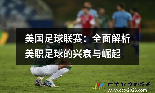 美国足球联赛：全面解析美职足球的兴衰与崛起
