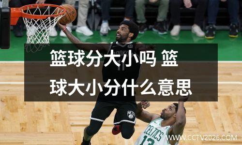 篮球分大小吗 篮球大小分什么意思
