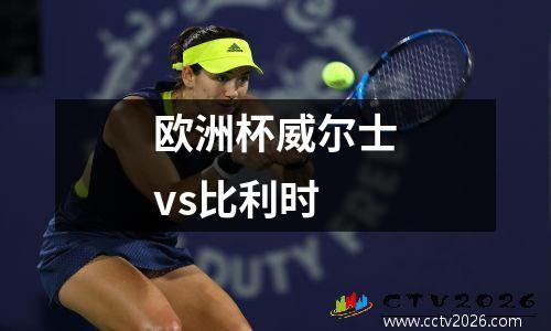 欧洲杯威尔士vs比利时