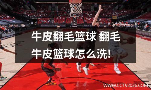 牛皮翻毛篮球 翻毛牛皮篮球怎么洗!