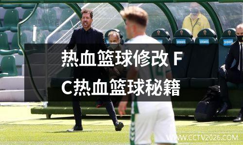 热血篮球修改 FC热血篮球秘籍