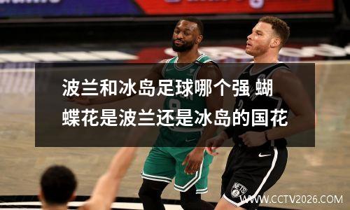 波兰和冰岛足球哪个强 蝴蝶花是波兰还是冰岛的国花