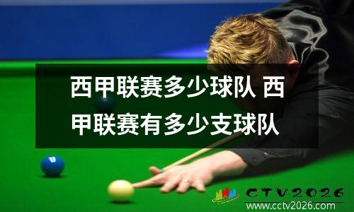 西甲联赛多少球队 西甲联赛有多少支球队