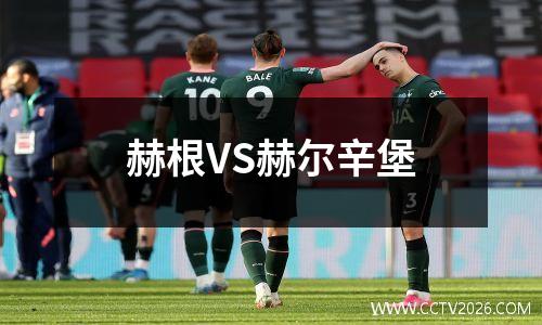赫根VS赫尔辛堡