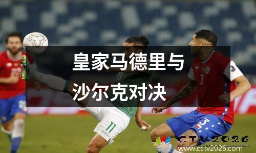 皇家马德里与沙尔克对决