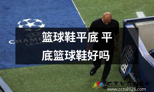 篮球鞋平底 平底篮球鞋好吗