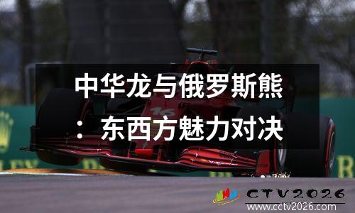 中华龙与俄罗斯熊：东西方魅力对决