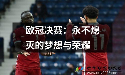 欧冠决赛：永不熄灭的梦想与荣耀