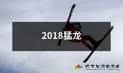 2018猛龙